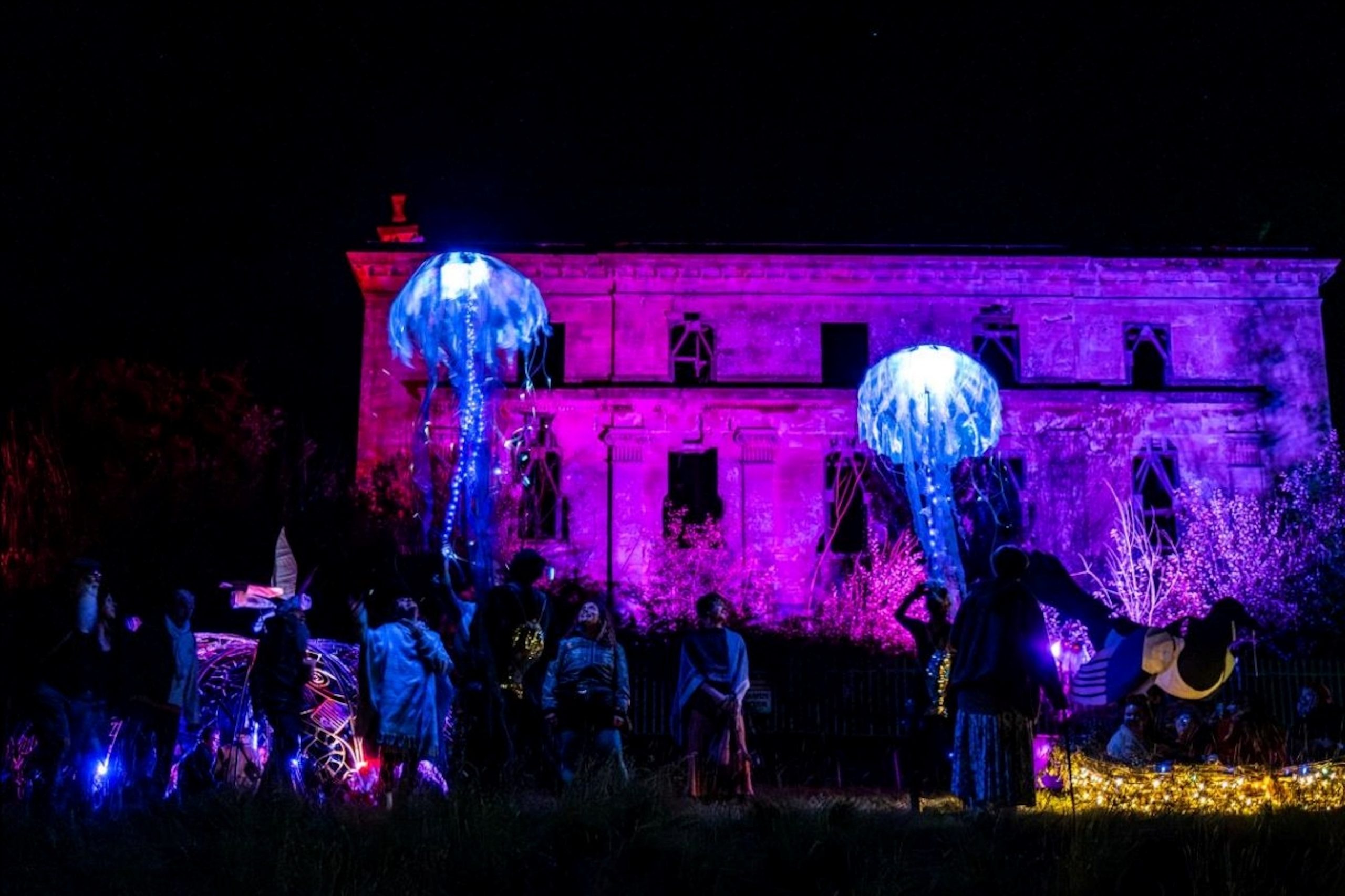 Work - Dance of the Sea Nettles