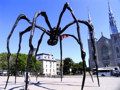 LB spider