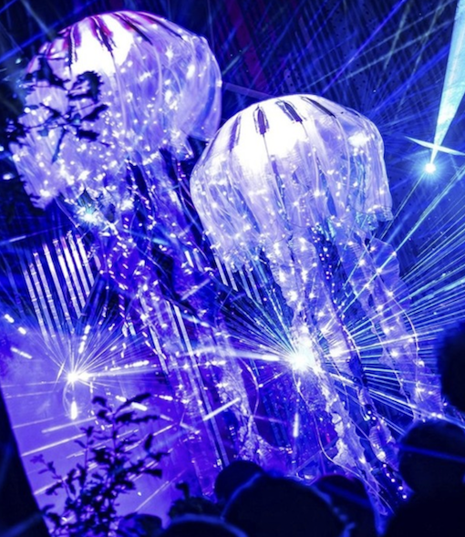 Work - Dance of the Sea Nettles