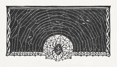 Image of web