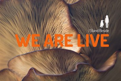 We Are Live