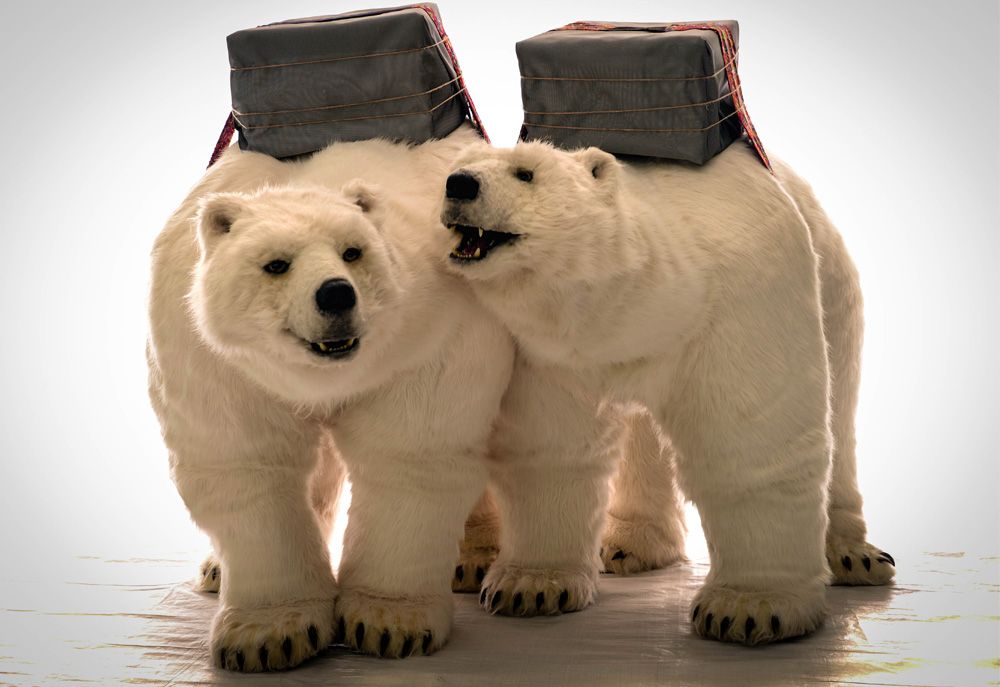 Work - Polar Bear Puppetry