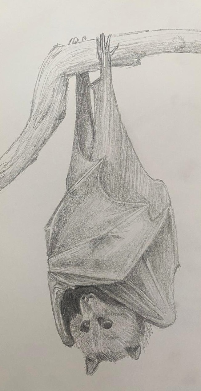 Work - Flying Fox