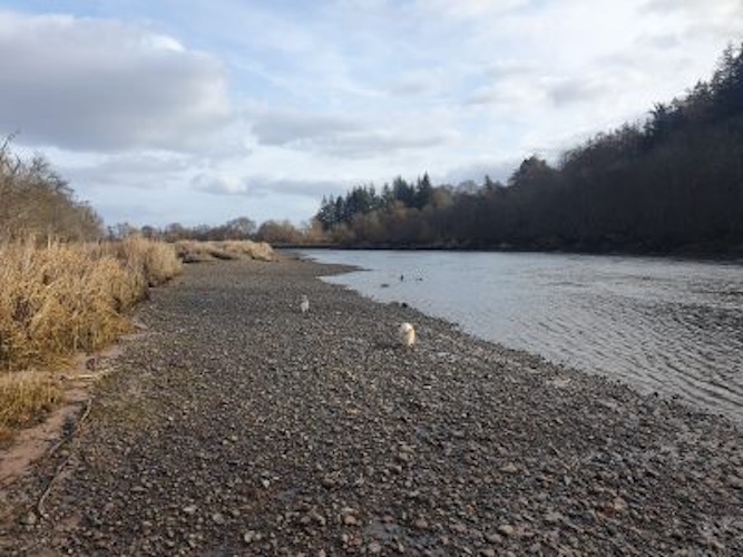 Work - The River Beauly