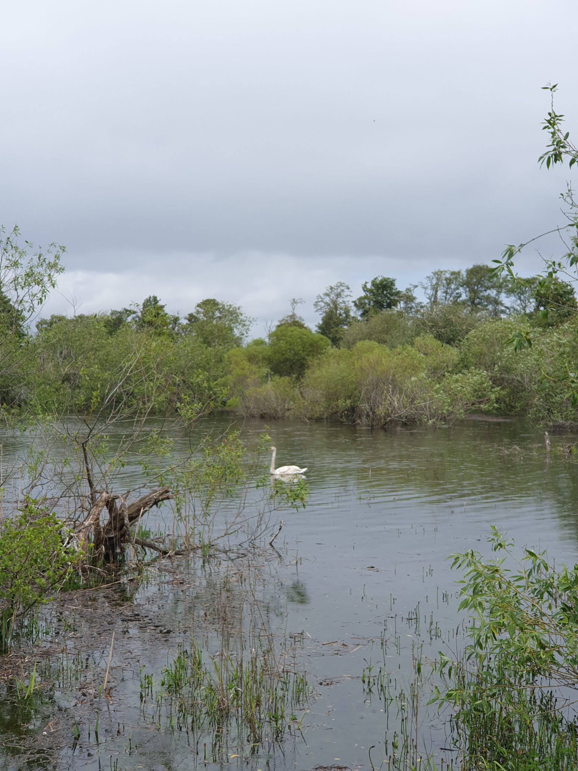 Work - The River Beauly