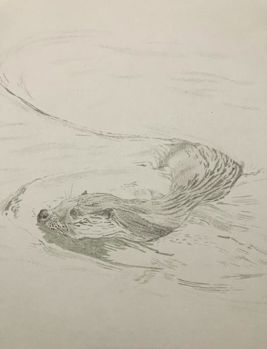 Work - Otter