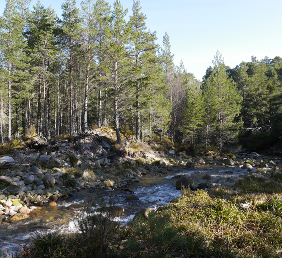 Description coming soon