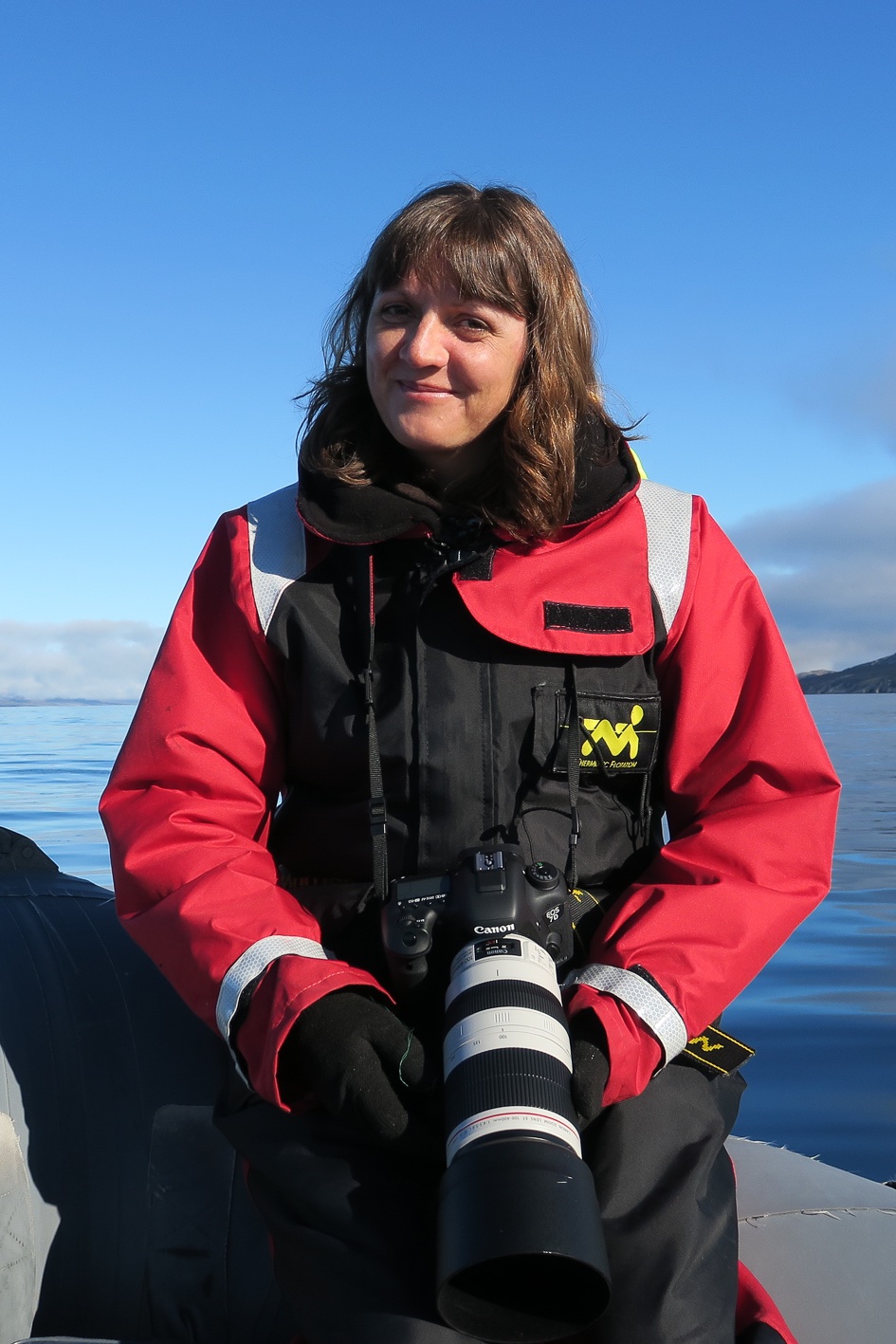 Atlantic humpback dolphin