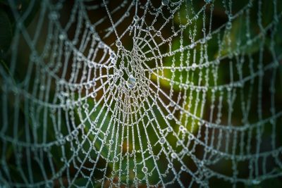  Description coming soon