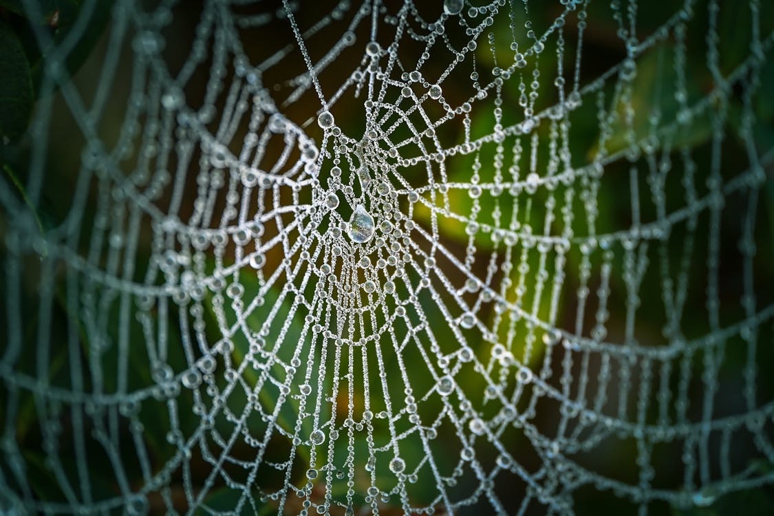 Description coming soon